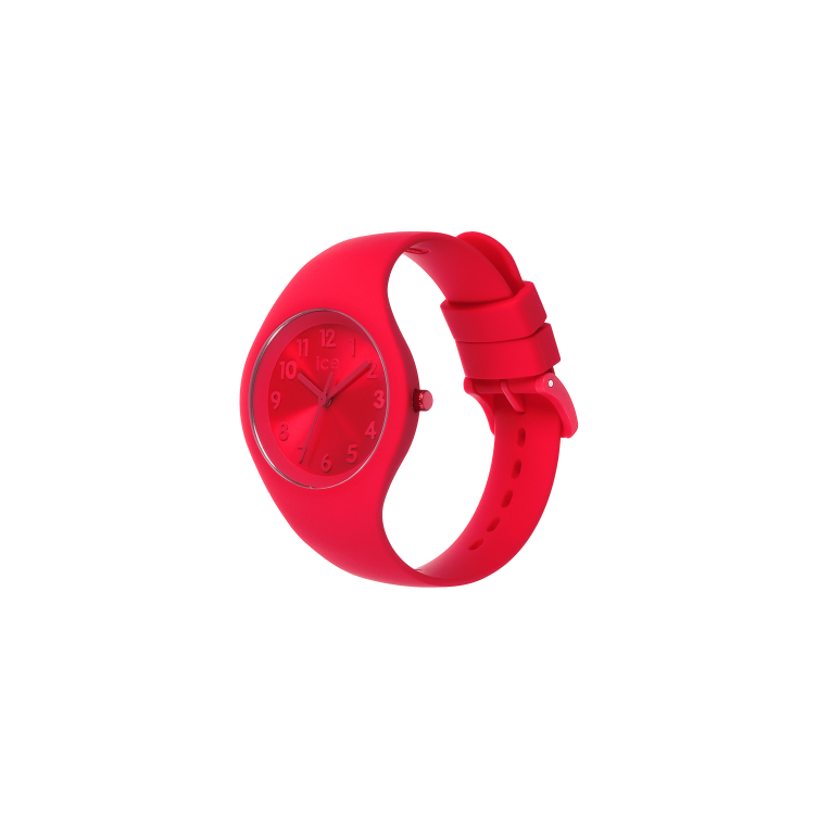 Montre Ice Watch "Ice Colour"